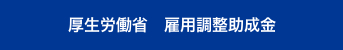 厚生労働省　雇用調整助成金
